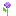 Texture for allium