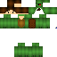 Texture for Turtle Phoenix
