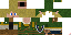 Texture for Link