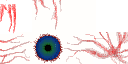 Texture for Eye of chtulhu {Terraria}