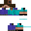 Texture for Steve