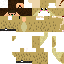 Texture for firefly06
