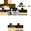Texture for usa essa