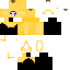 Texture for Back