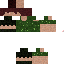 Texture for Indiana