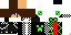 Texture for .minecraftian.