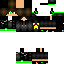 Texture for steve29145