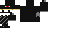 Texture for black cat thing idk