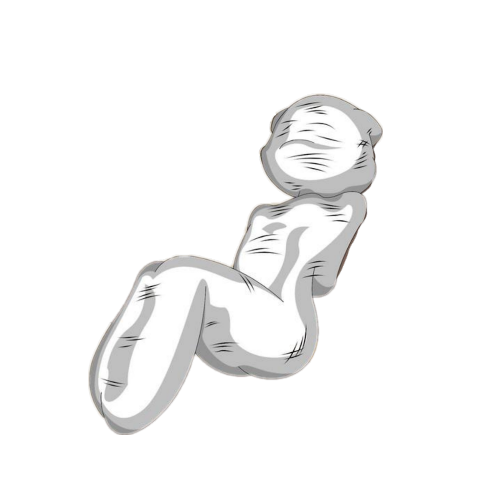 Texture for cocooned fox