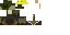 Texture for Duck