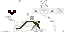 Texture for Skeleton