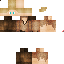 Texture for sTalkerv5