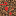 Texture for gras