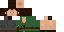 Texture for pheannewbags