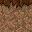 Texture for farmland_side