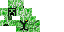 Texture for cübbe 