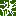 Texture for birch leaves