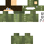Texture for dino
