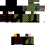 Texture for steb4n