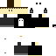 Texture for pi pi pi ri pi pi pi pinguimo