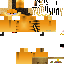 Texture for garfield