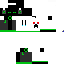 Texture for t24