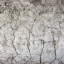 Texture for Белая краска