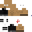 Texture for pou saramanbiche