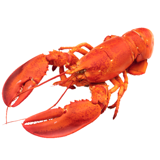 Texture for Raw Crayfish