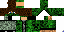 Texture for Creeper