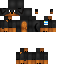 Texture for max