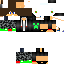 Texture for steve