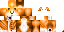 Texture for coelhec