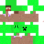 Texture for steve