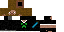 Texture for FlokitoMCPTA