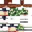 Texture for SkyTosZ