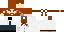 Texture for Polarstern