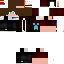Texture for Steve