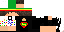 Texture for sfs
