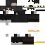 Texture for gi