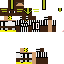 Texture for Paul Pogba