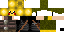 Texture for tjxjcsdpdoc