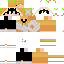 Texture for Orange_HEALS