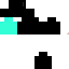Texture for fassh