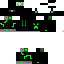 Texture for creeper ninja