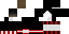 Texture for Assassin