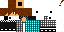 Texture for steve 5