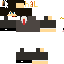 Texture for sakata
