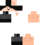 Texture for pintor
