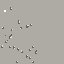 Texture for creeper beta